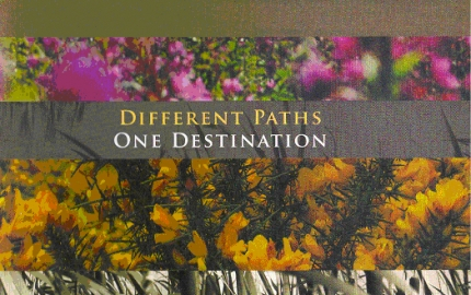Different Paths, One Destination